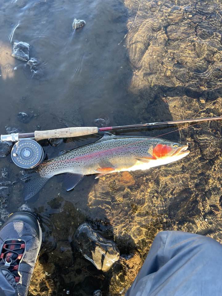 ORVIS mk2 ブルックトラウト　80年中期 ORVIS mk2 ブルックトラウト 80年中期 ORVIS mk2 ブルックトラウト 80