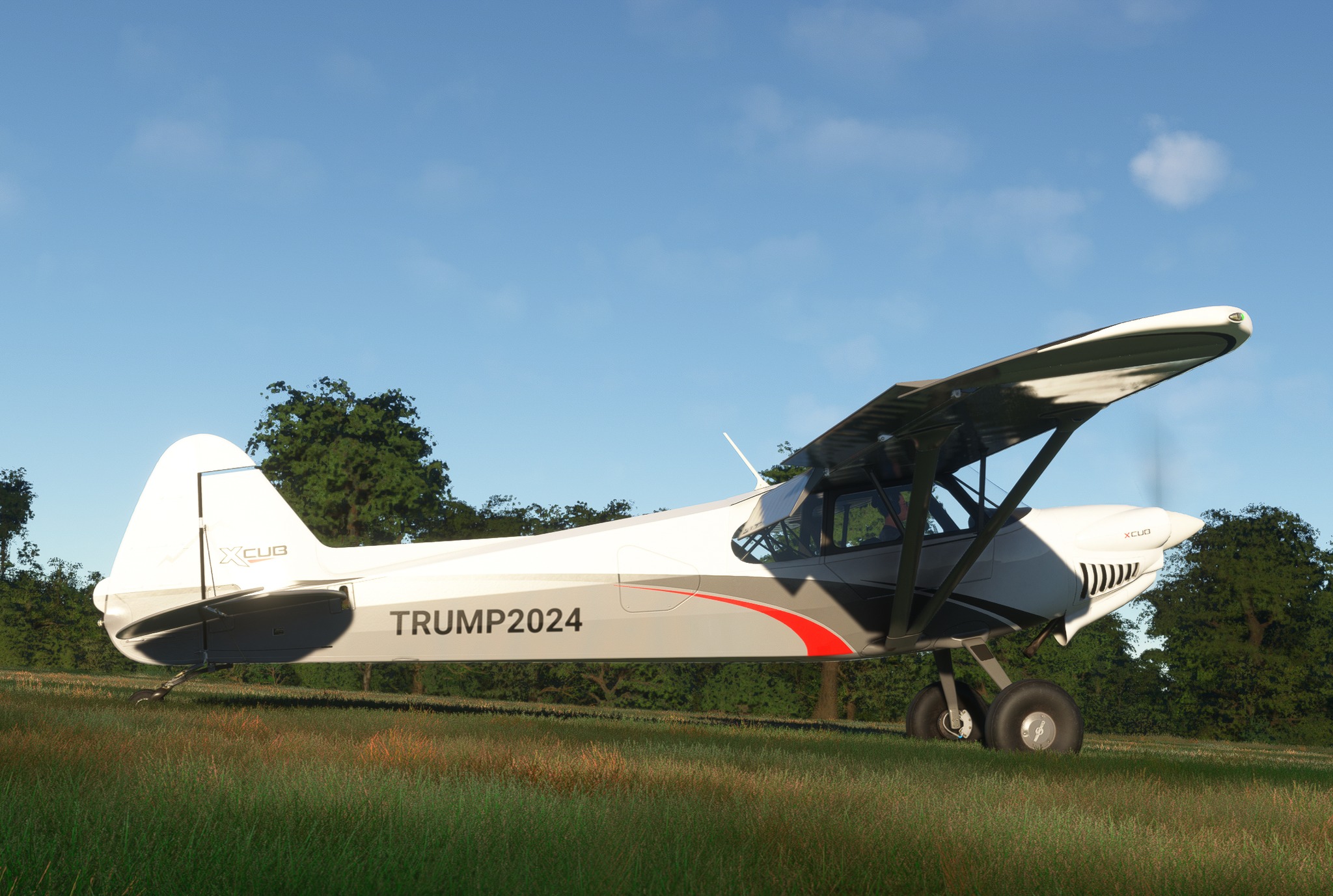 Microsoft Flight Simulator 2024 (Asobo Studio) | I don't care. | Facebook