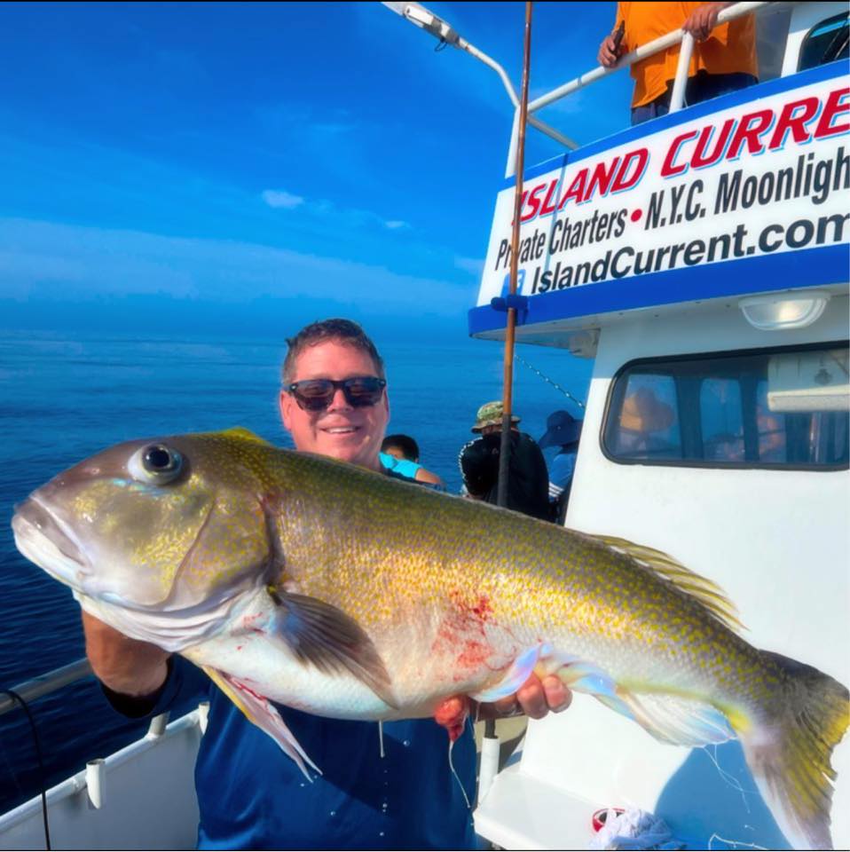 Get ready for Rhode Island blackfish action with the Island Current ...