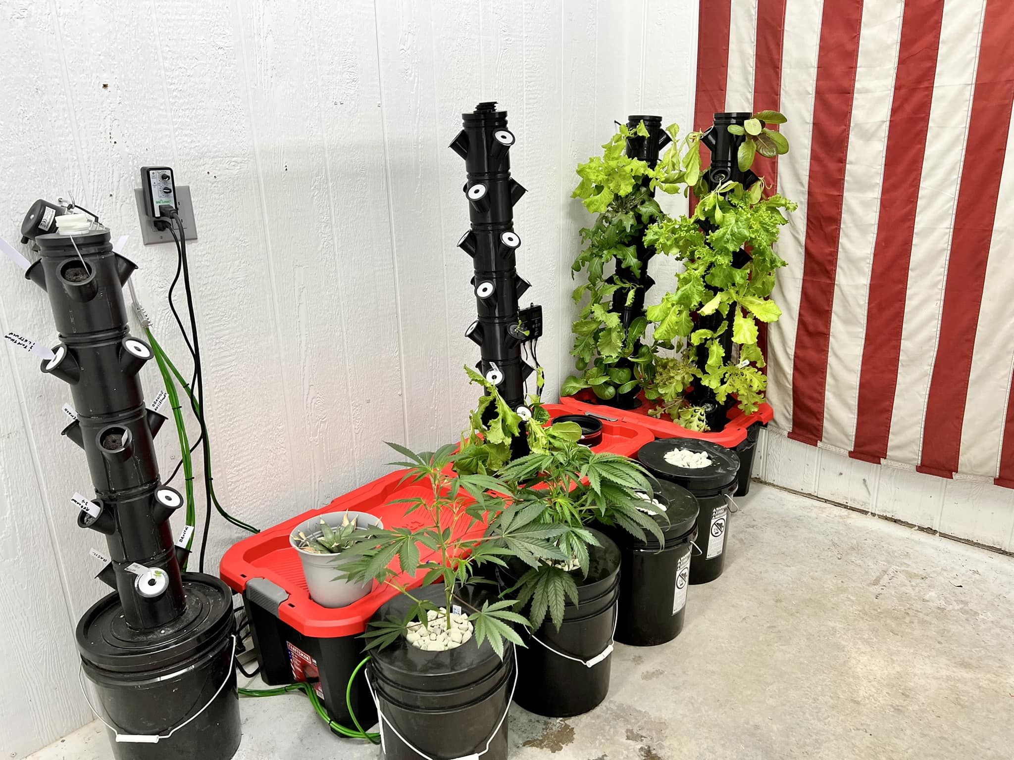 Built this hydroponics tower 3d design Large scale of outside later display picture 1