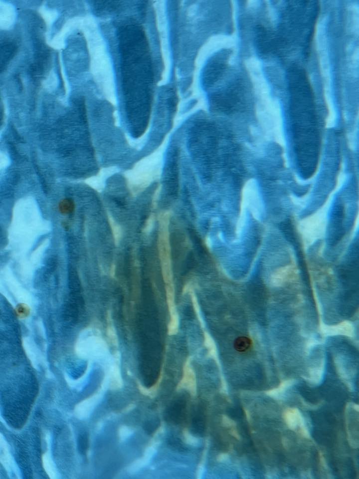 Above Ground Swimming Pools Group | There are two dark stains at the ...