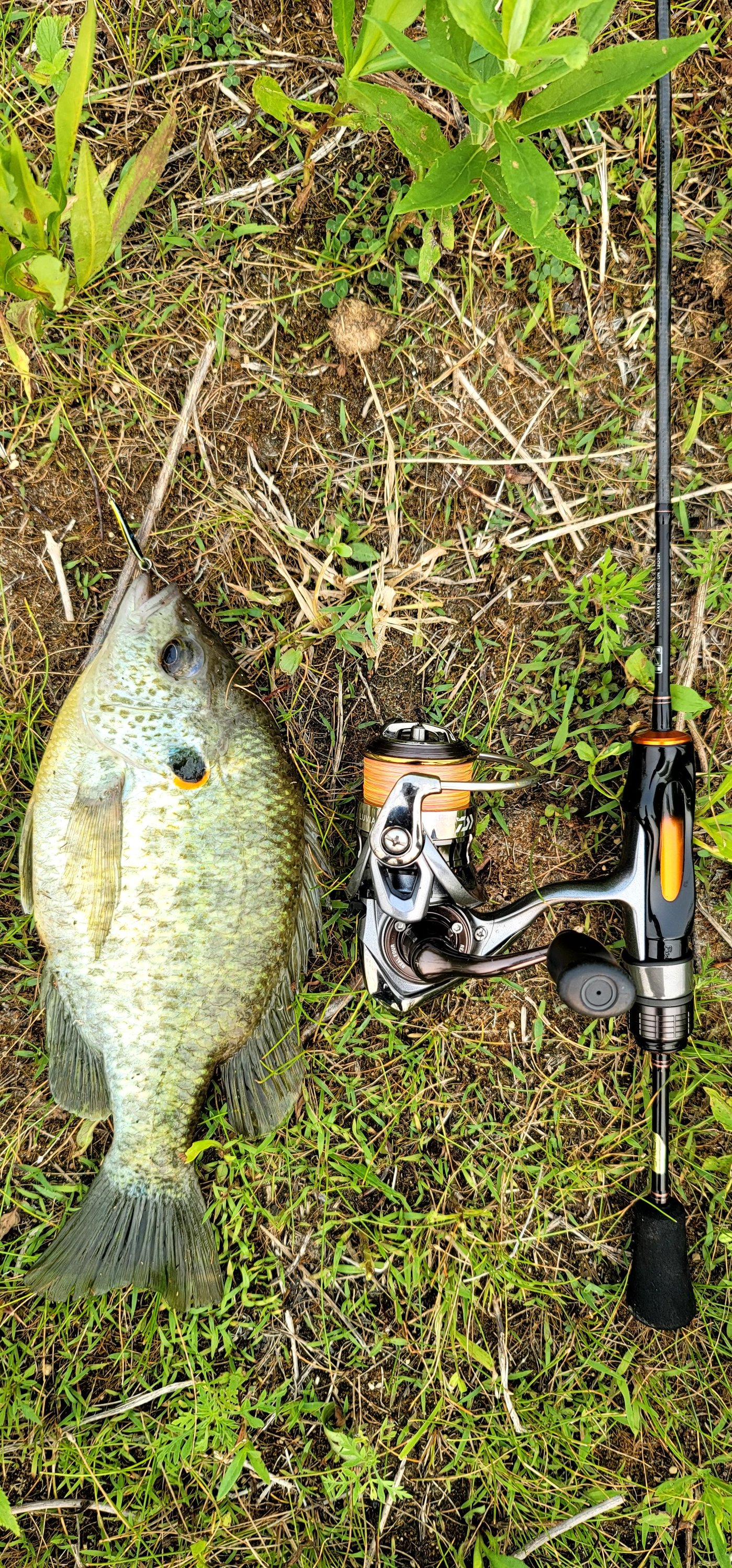 bigger fish to fry fishing pole Keiryu Rod Co. TN Provo Rod. Telescopic 16 ft. Fast Action Fly Rod for Larger Fish. Excellent Design for Nymphing & Subsurface Fishing. High Performance IM Carbon. : Sports Fighting Big Fish on Tenkara