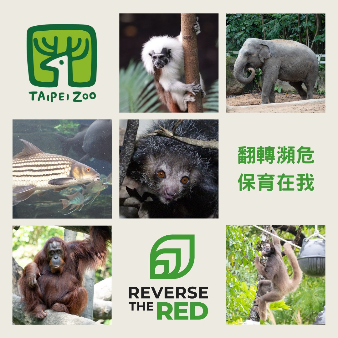 【翻轉瀕危從認識「牠」開始】... - Taipei Zoo 臺北市立動物園