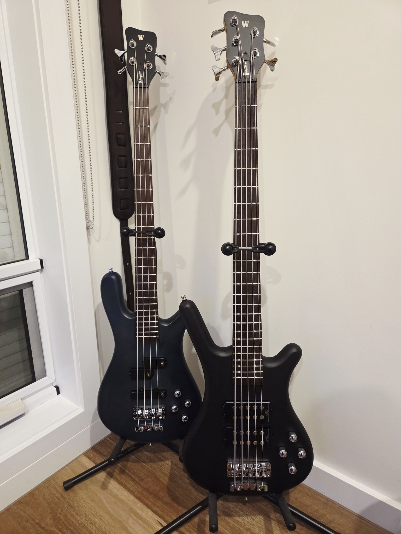 Warwick Rock Bass Streamer NT review