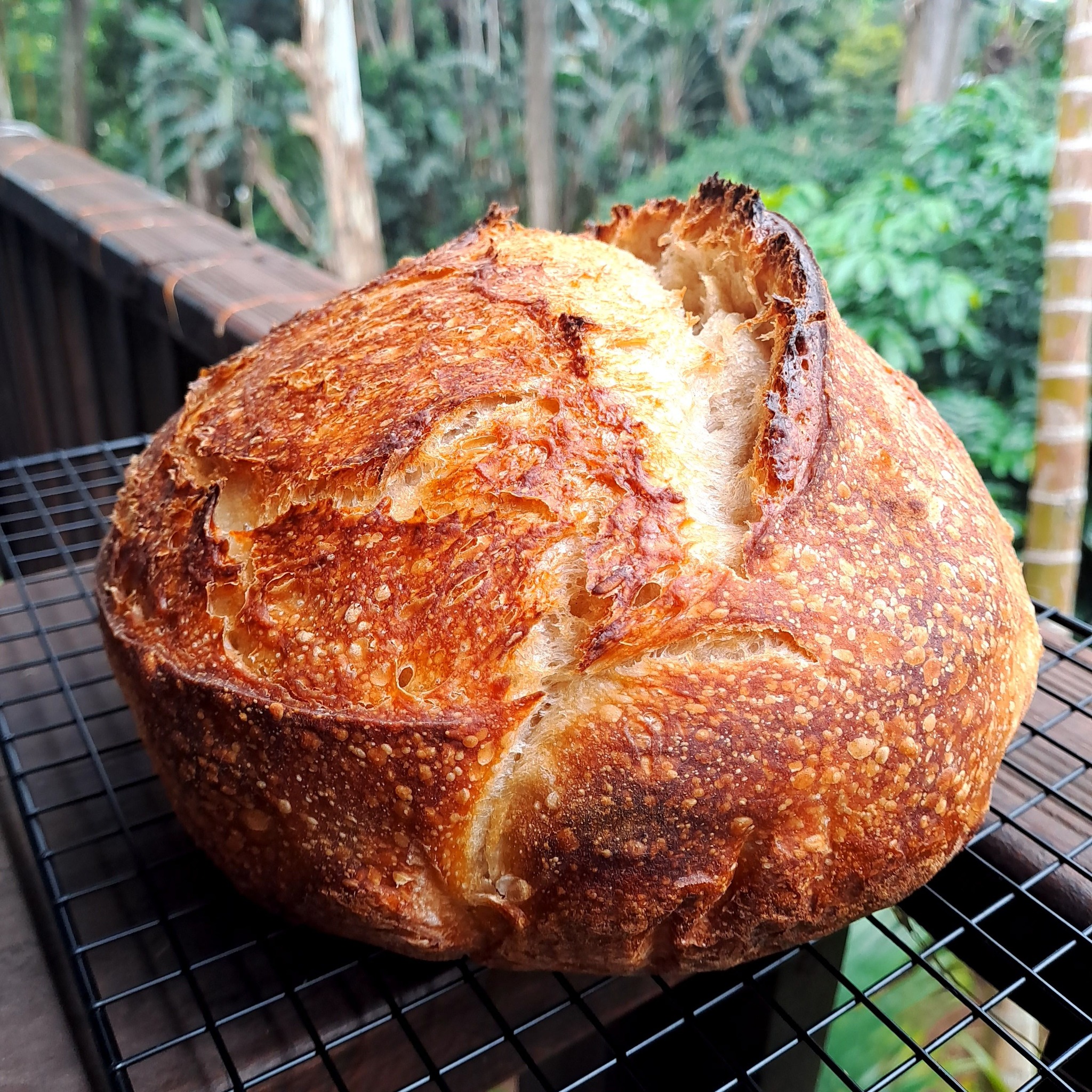 Champagne Valley flour sourdough bread recipe