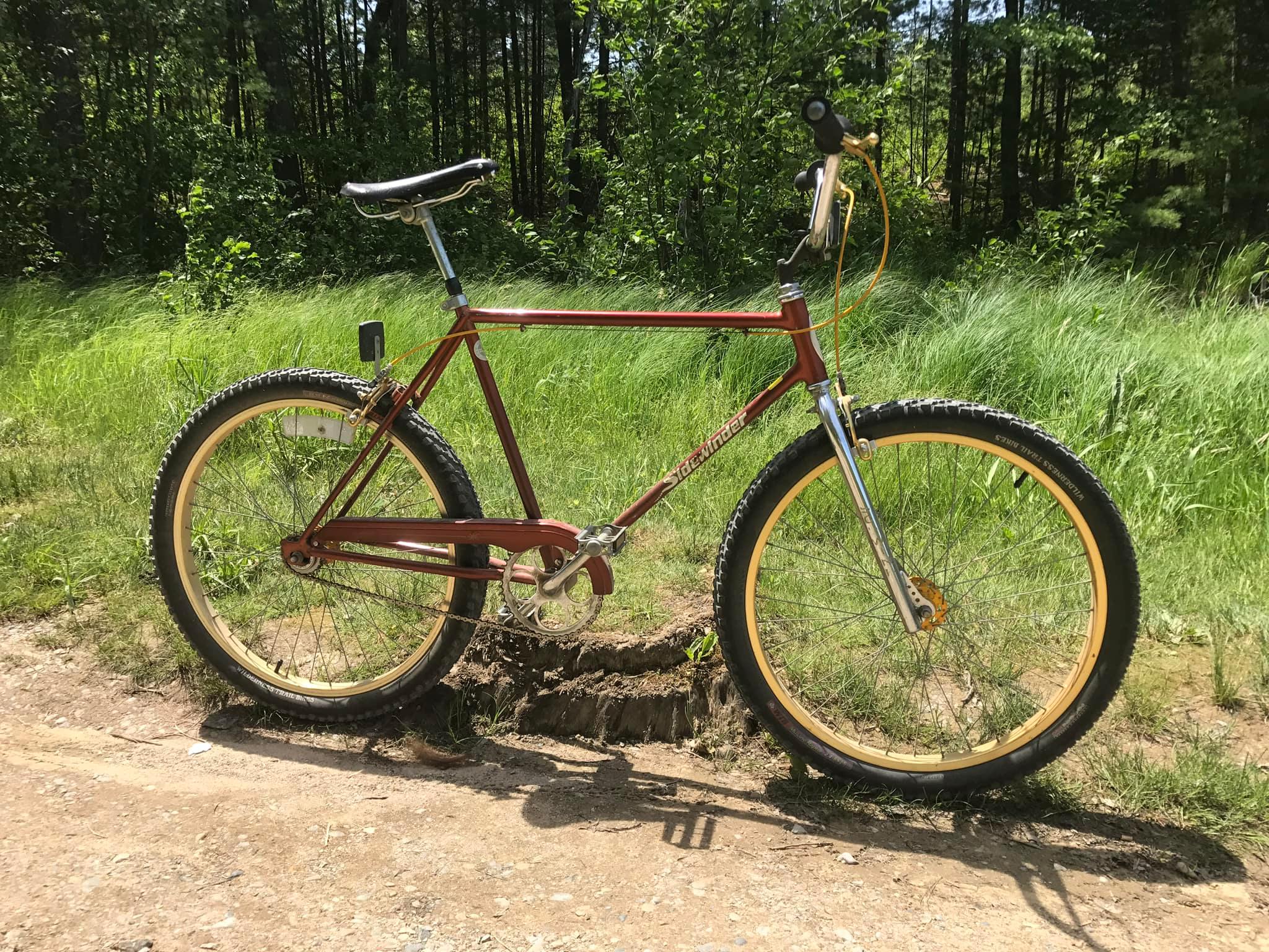 my holy grail bike,1982 schwinn sidewinder