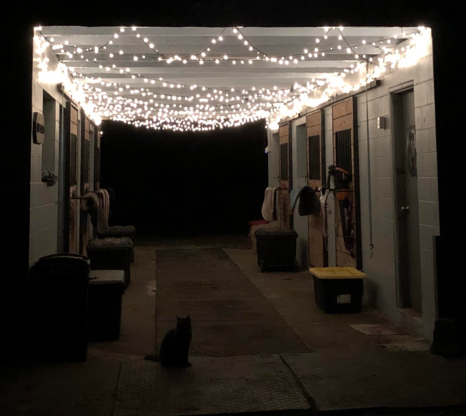 Threshold Farm | Titusville FL