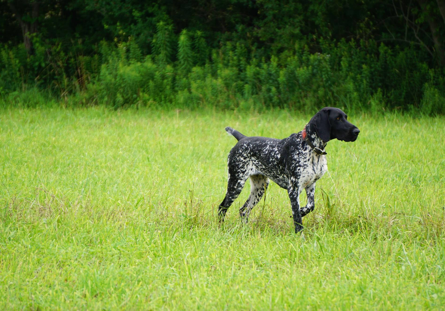 Finishing a retrieve | Facebook