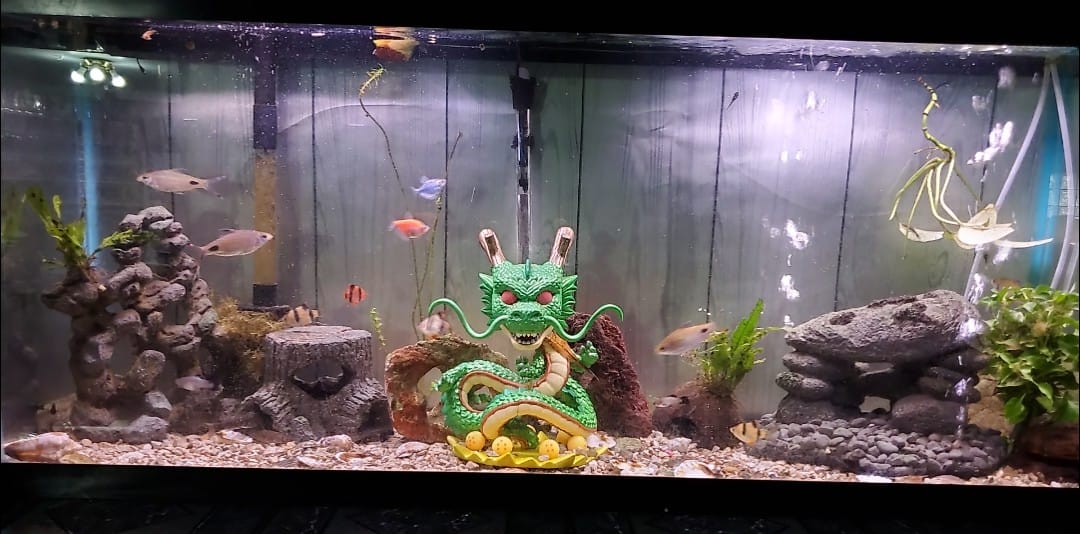 dragon ball z fish tank accessories VAYINATO 2 Pcs Floating Gugu (Random Color) Standing On The Cloud Action Figure Float Figurines Landscaping Ornaments for Decoration By Petzlifeworld Pet Supplies dragon ball z fish tank