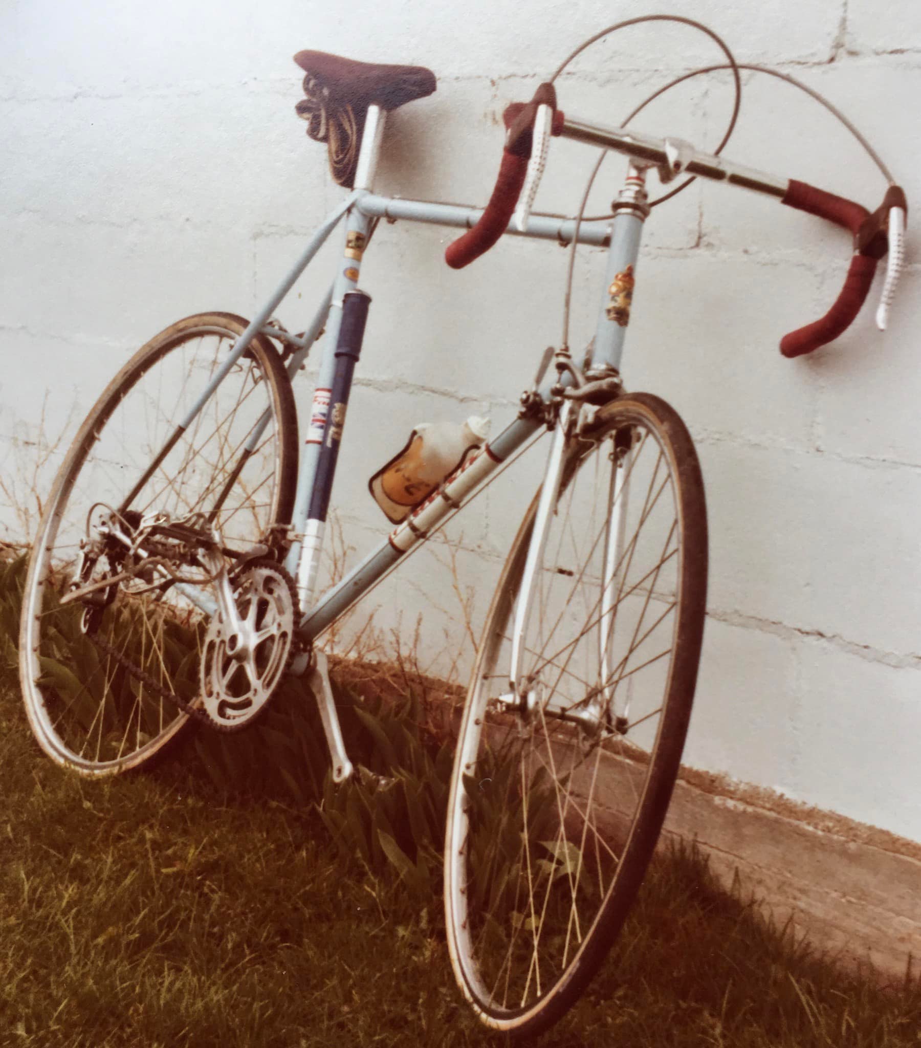 Plateau 52 Dents Campagnolo Nuovo Record Bottecchia 144 BCD - Vintage Années 70