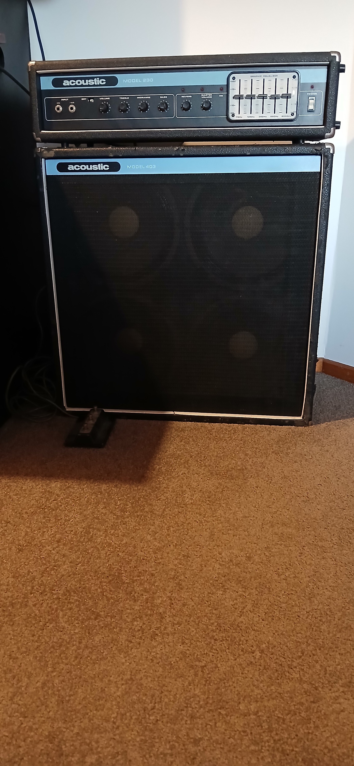 my Acoustic 220 cab 406 killer