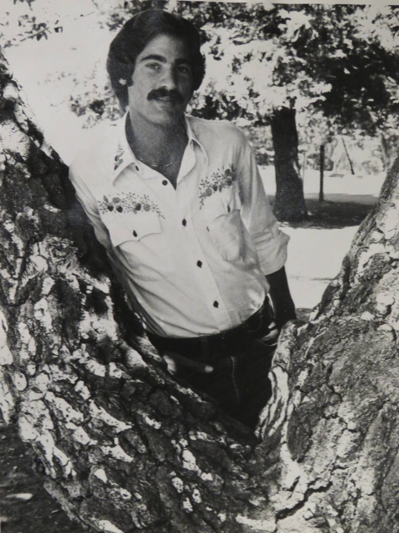 Memories of growing up in Los Gatos, California in the 1950s and 1960s