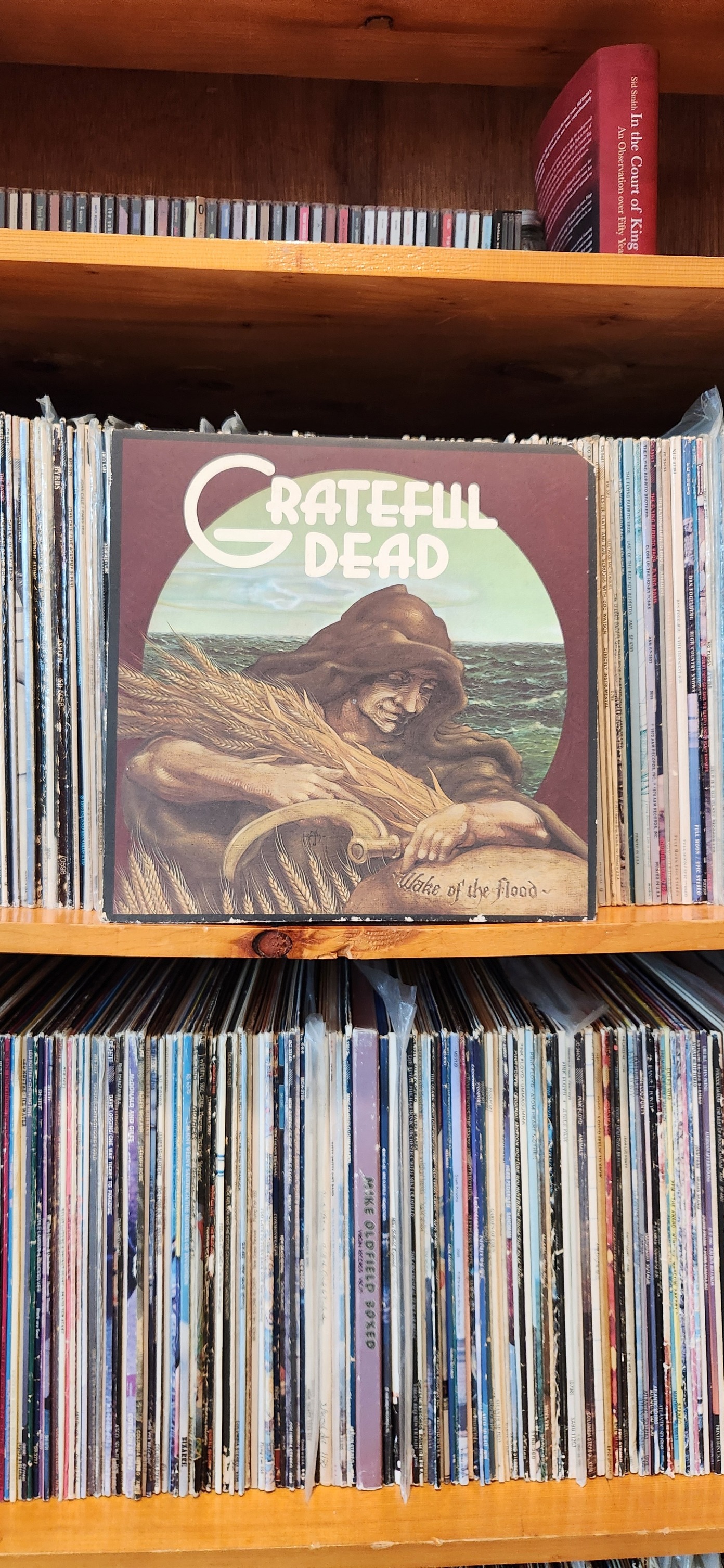 The Other Vinyl Record Collectors Club | Noted more for their live ...