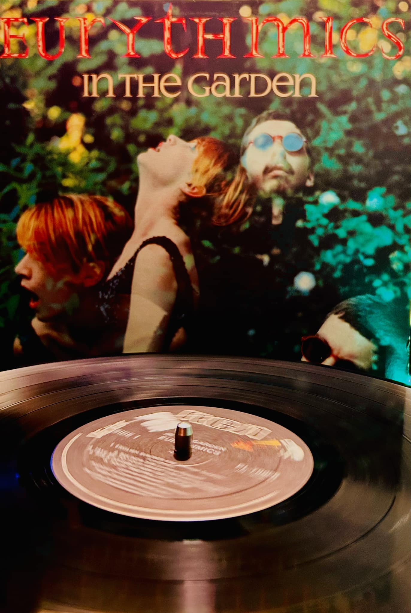 Eurythmics In the Garden 1981 album review