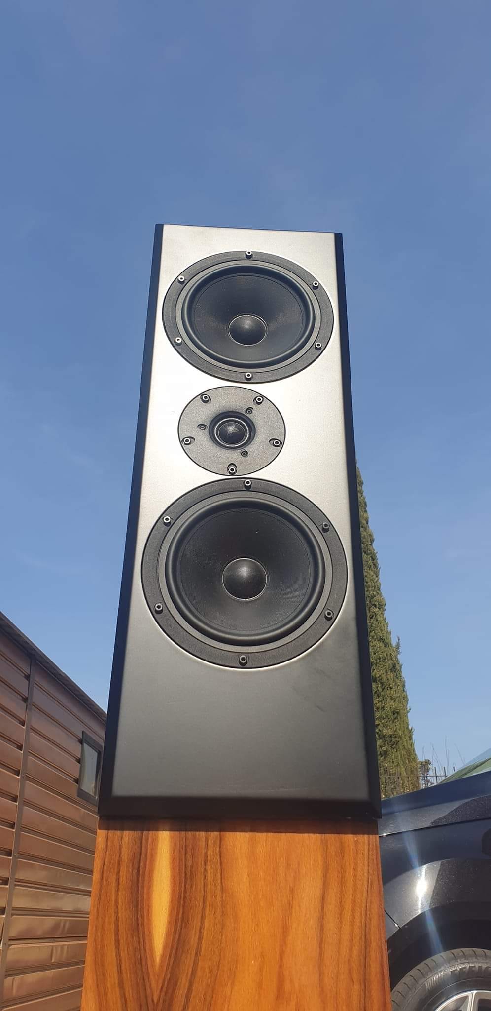 Floorstanding MTM. Midwoofer scan speak 18 w8434 g00 and tweeter