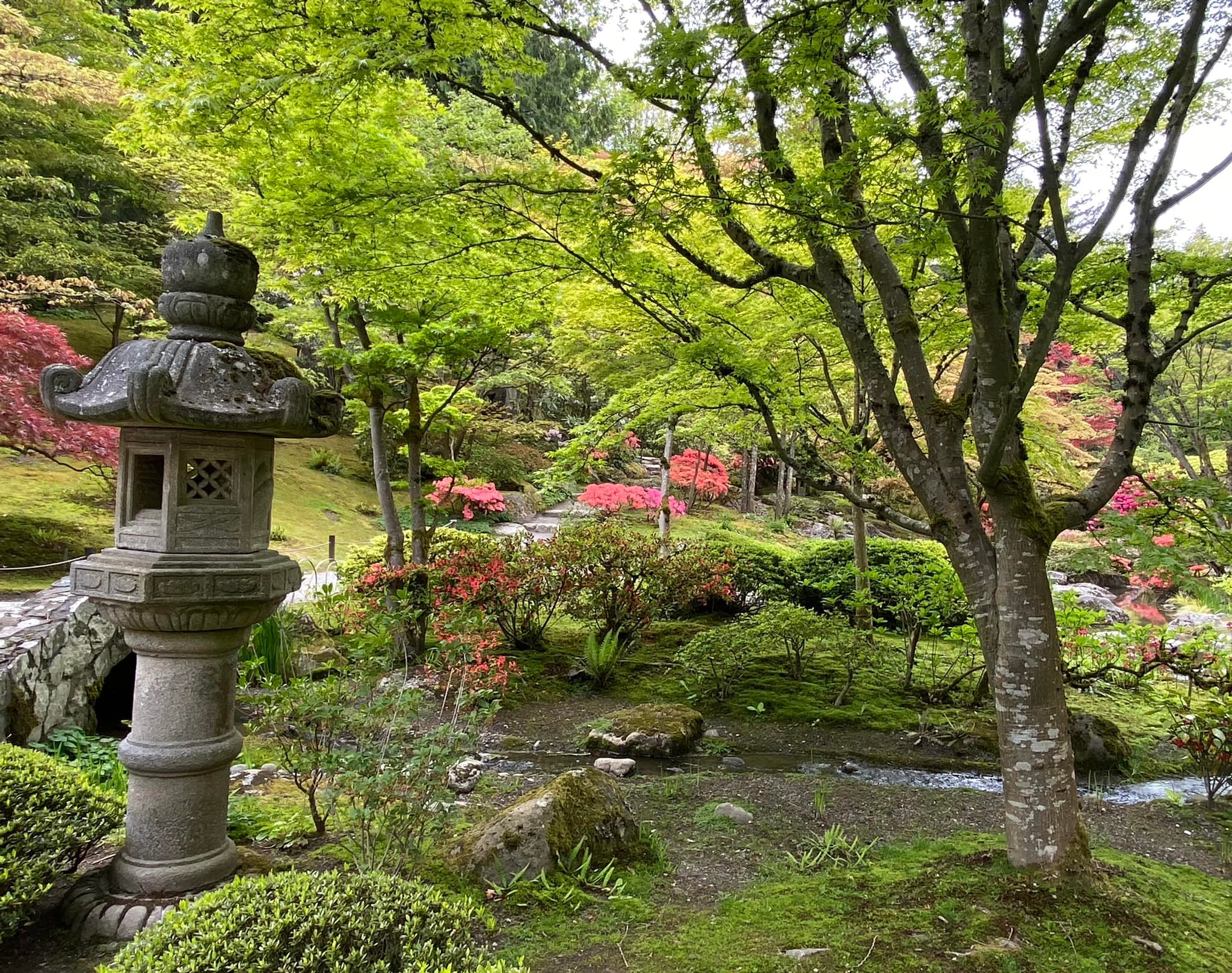 Discovering the beautiful Seattle Japanese Garden