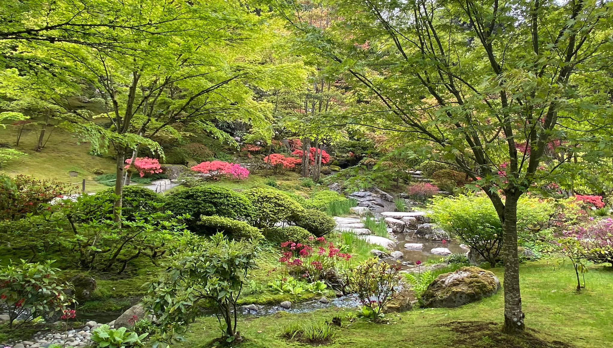 Discovering the beautiful Seattle Japanese Garden