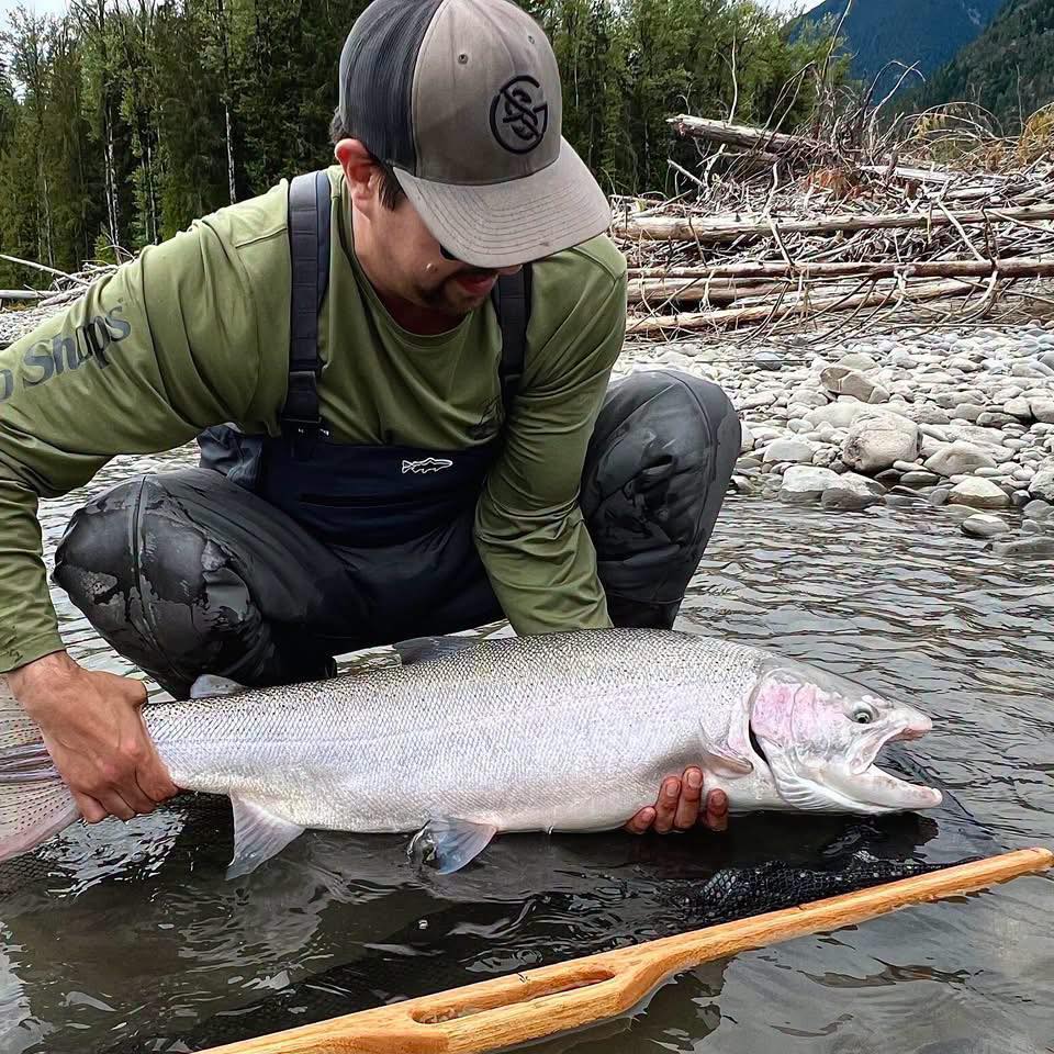 Kitimat Salmon & Steelhead Addicts | The coho have arrived | Facebook