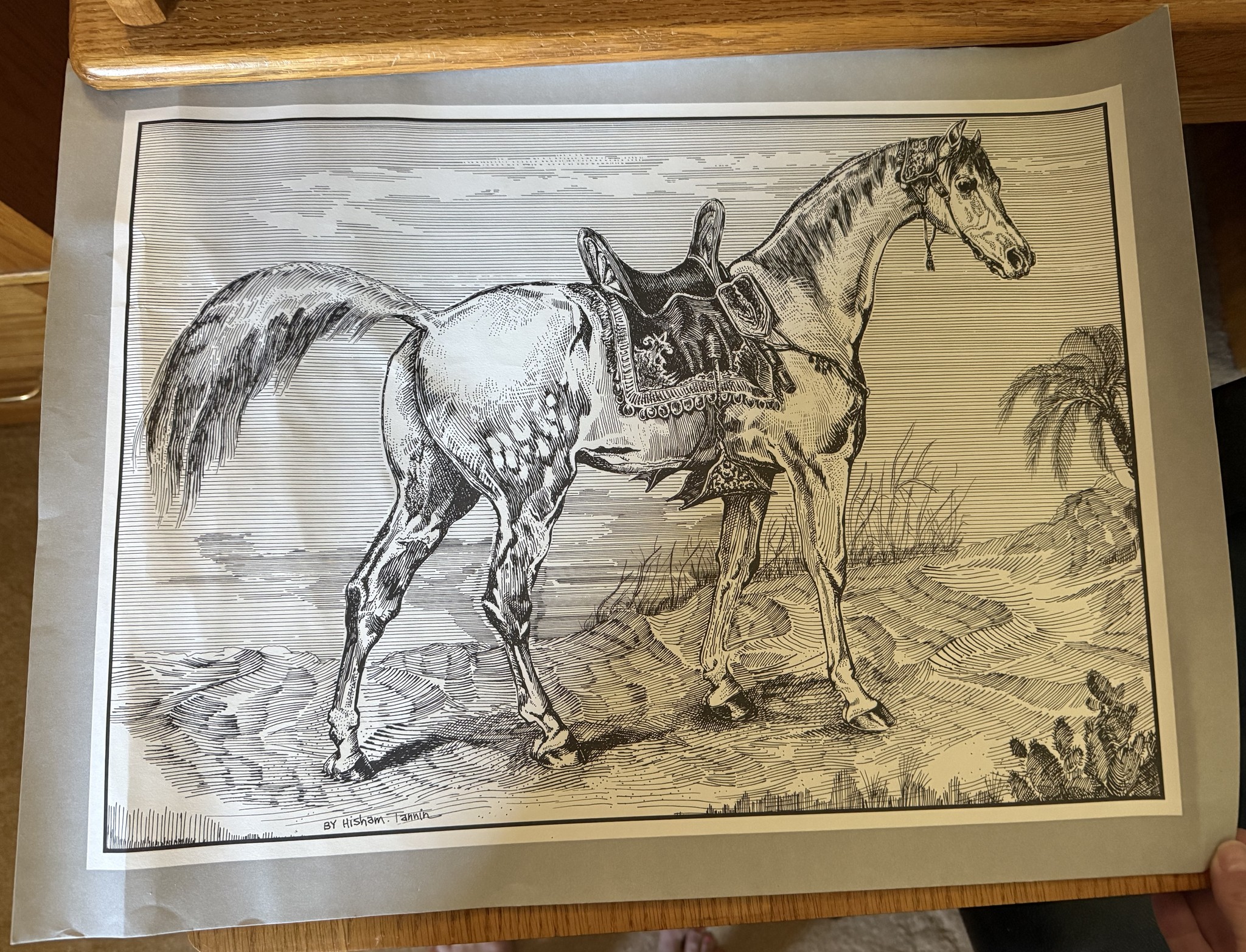 Information on Hisham Tannir signed print