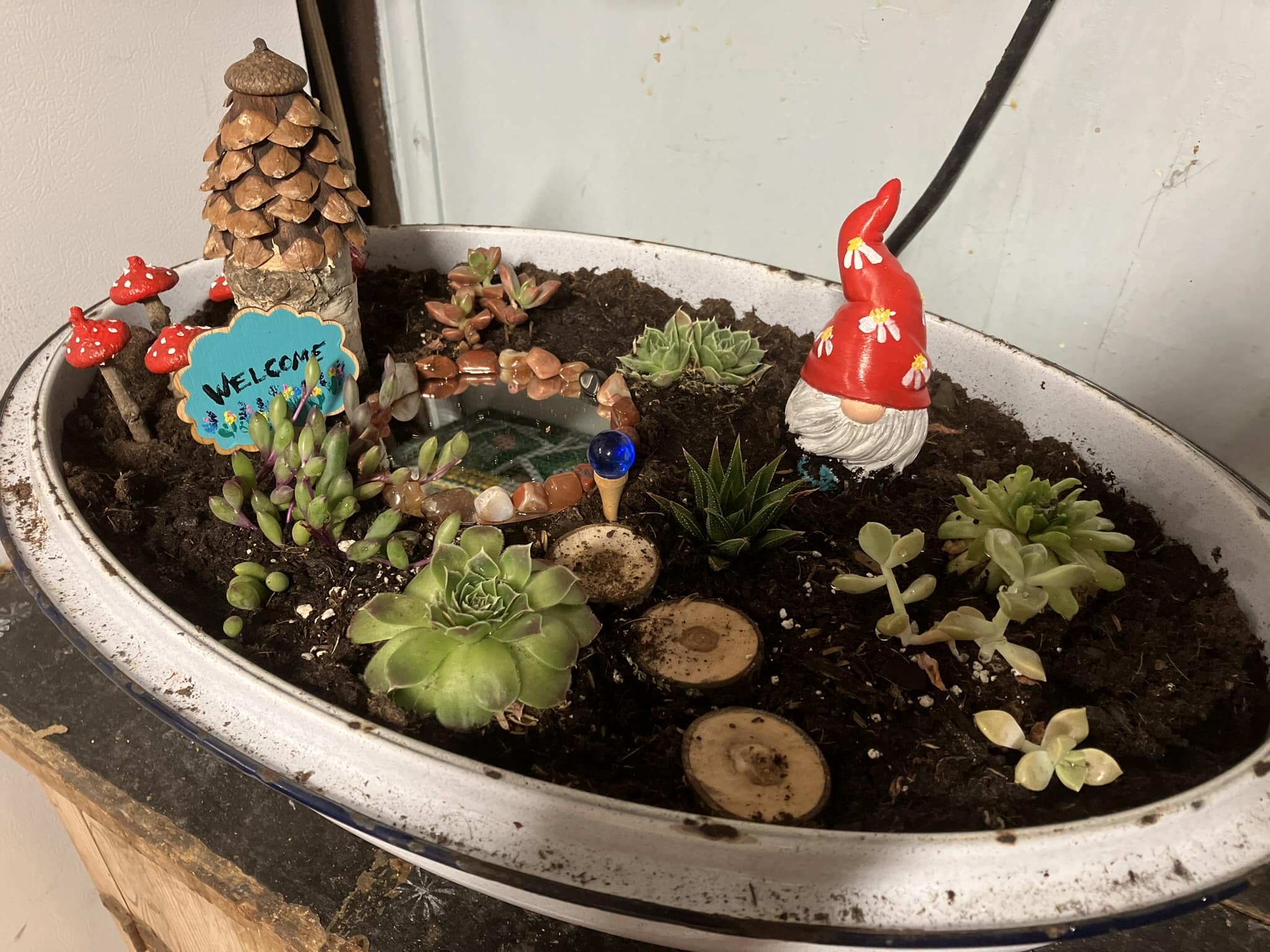 ONLY 3 FAIRY GARDEN KITS AVAILABLE !! Next week looks like the 