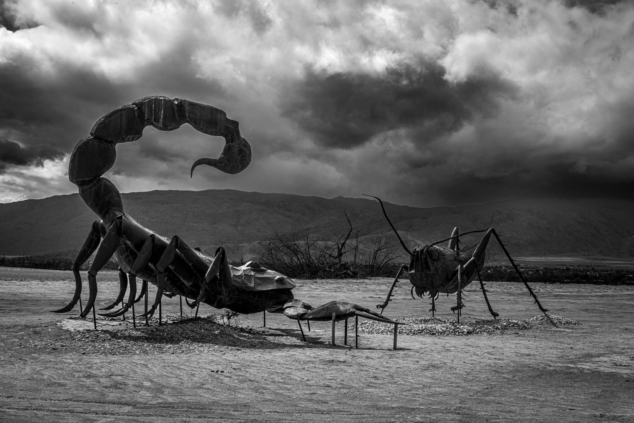 Trying some B&W. Anza Borrego Desert State Park. The scorpion and