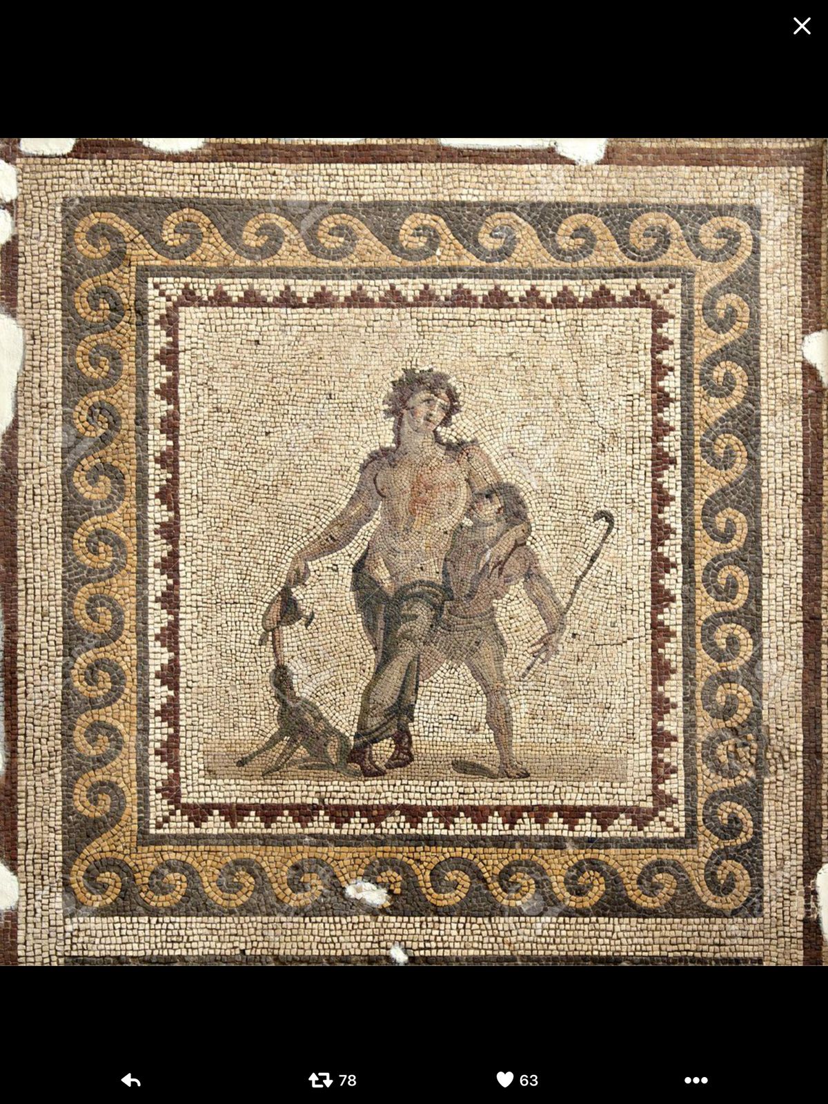 History, archaeology & civilizations | The floor mosaic from the House
