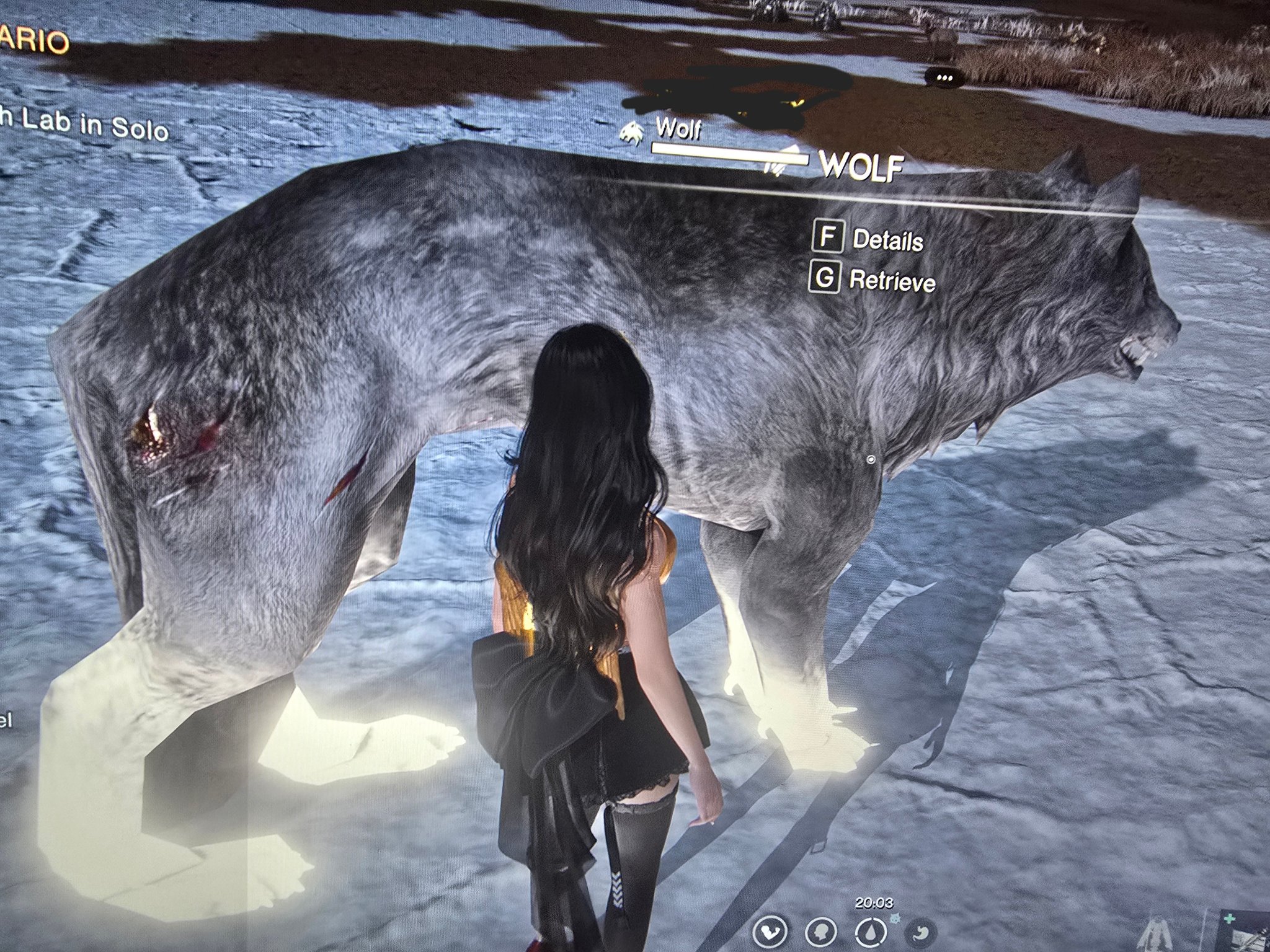 Once Human: Official Gaming Community | Yay! Finally my huge wolf 🥰 ...