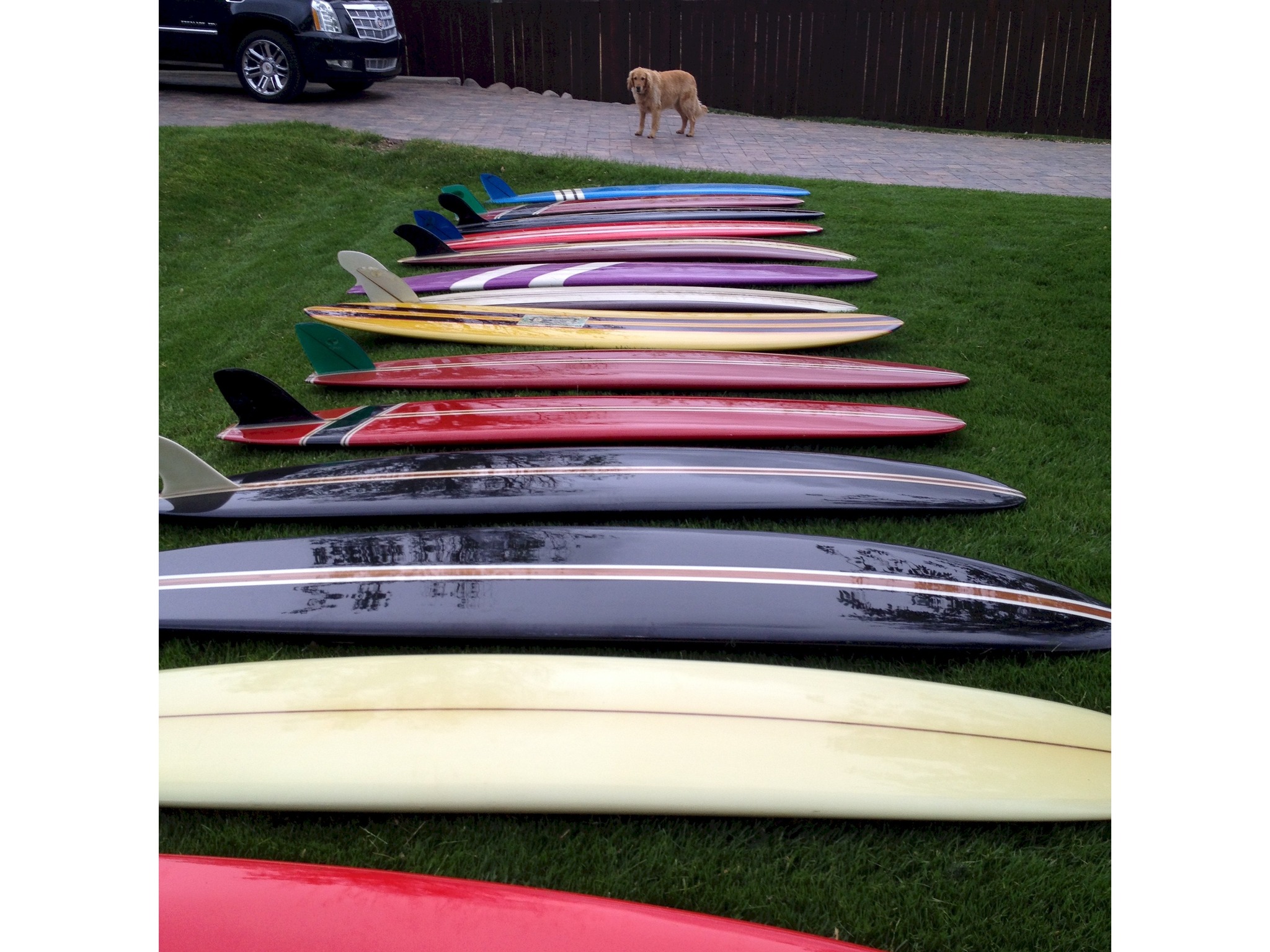 Da Cat go's for broke in 67 Greg Noll Surfboards