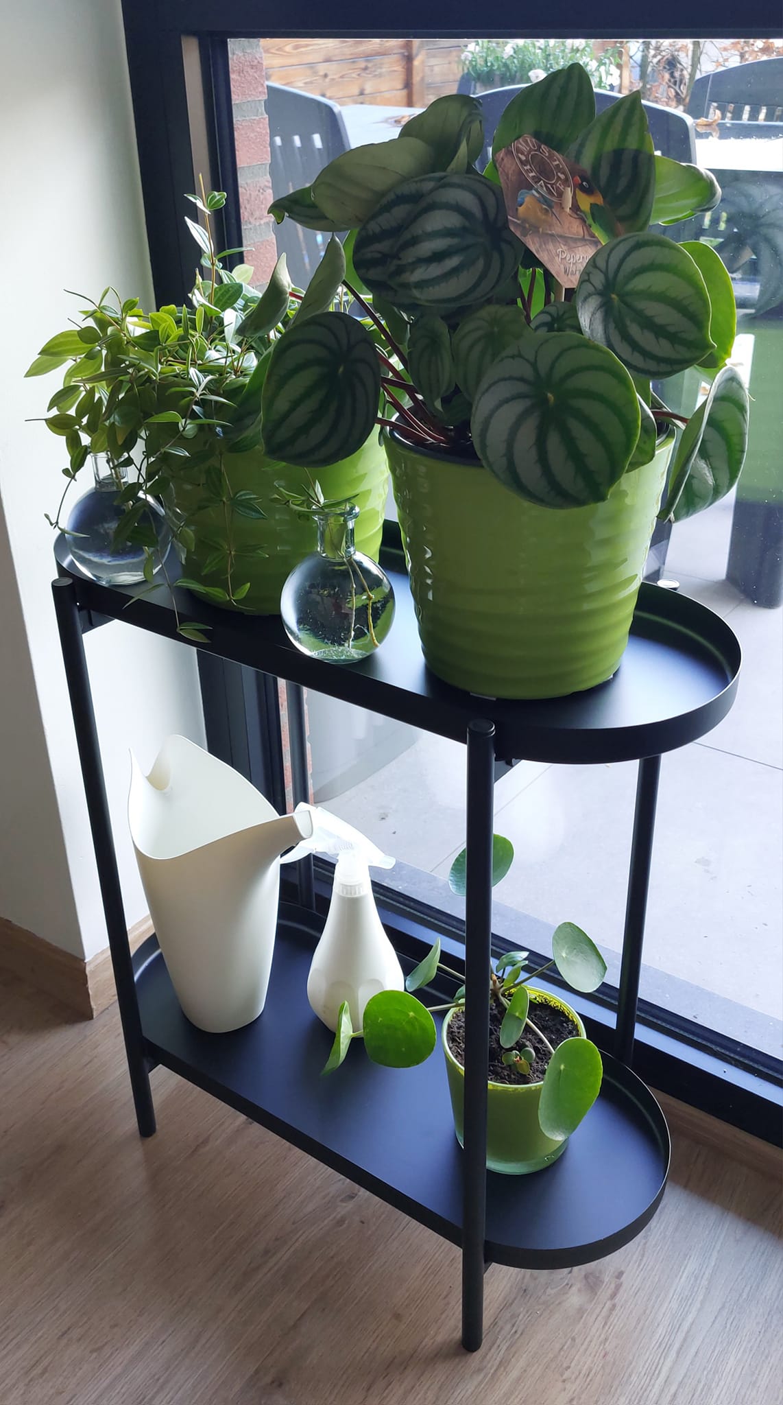 Need more shelves for plants with Olivblad from Ikea