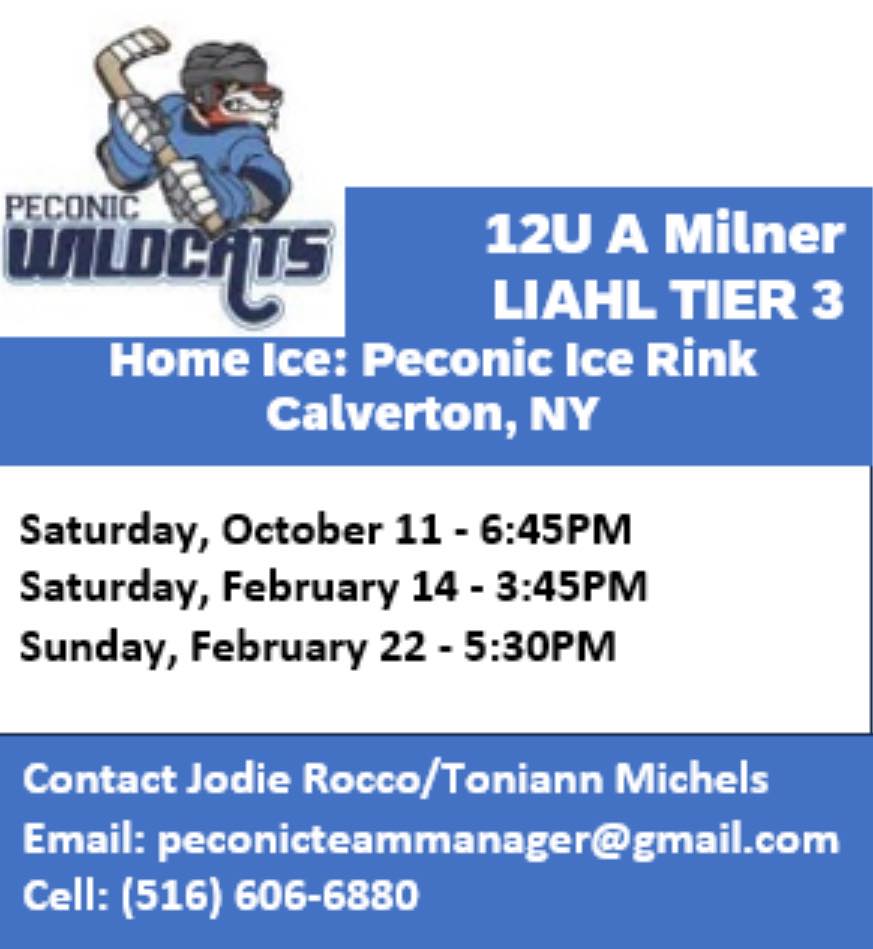 Long Island Hockey Moms and Dads | Hi, the Wildcats are looking to fill ...