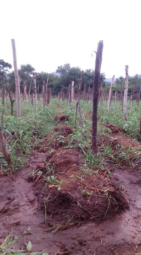 Let's start farming | Facebook
