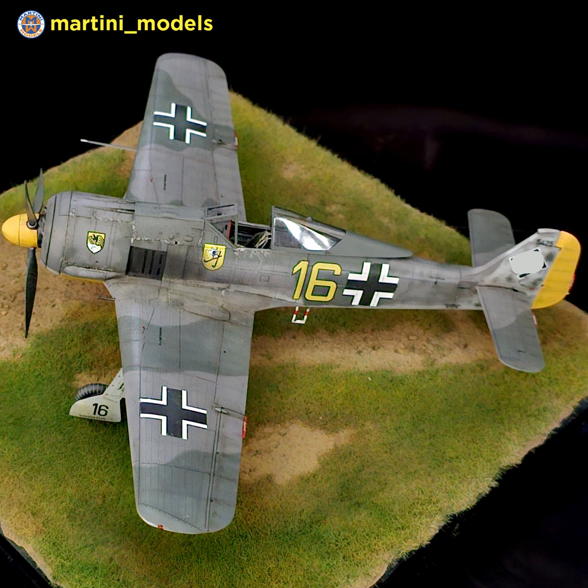 Focke-Wulf FW 190A-5, Eduard 1/72 Grünherz Limited Edition💚