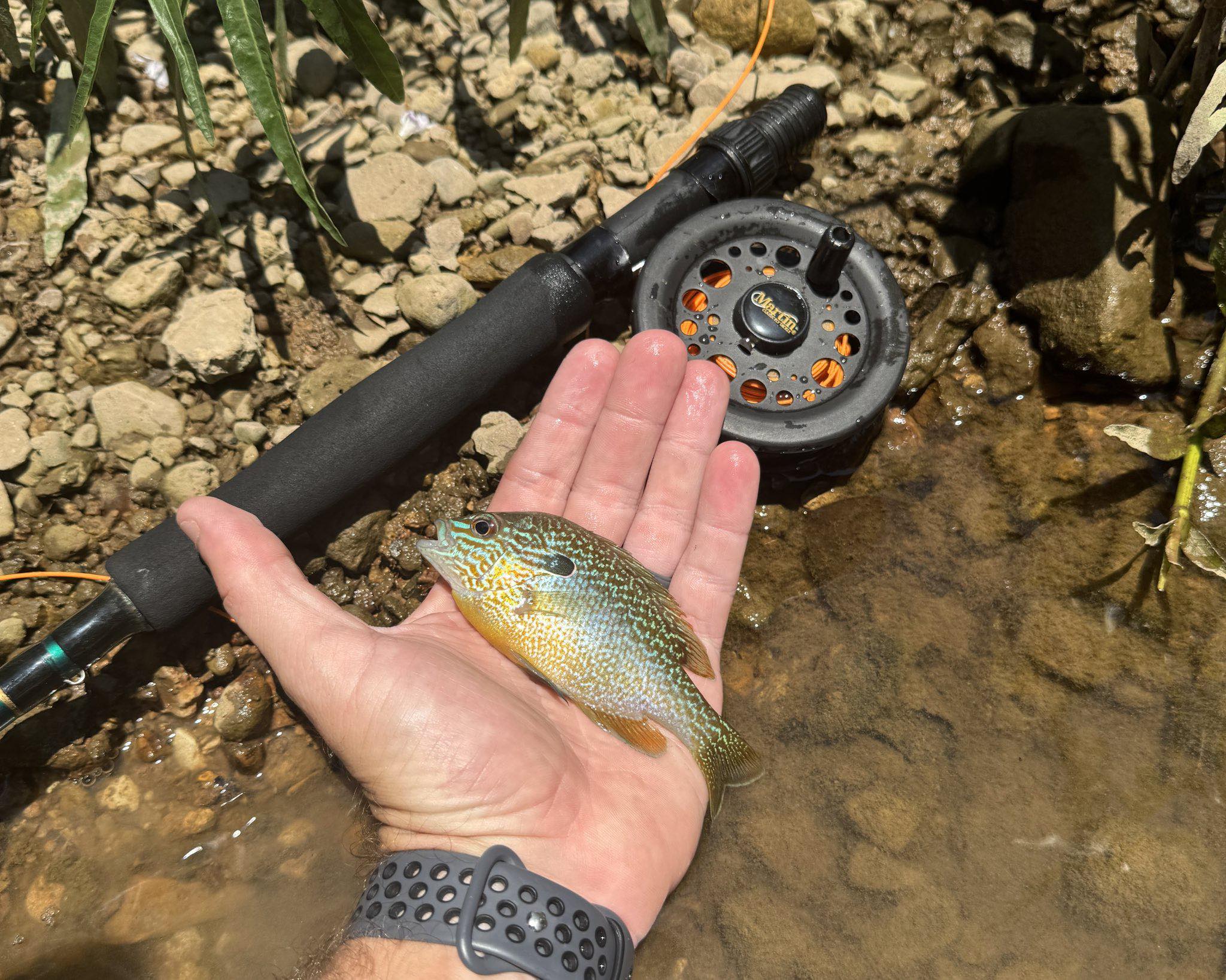 betts fly fishing rod Redington Wrangler Kit 690-4 Trout XL A torpedo shaped head with full hackle and additional vibrant rubber feelers combine to make the FISH HEAD unbeatable Longear catch with Betts popper