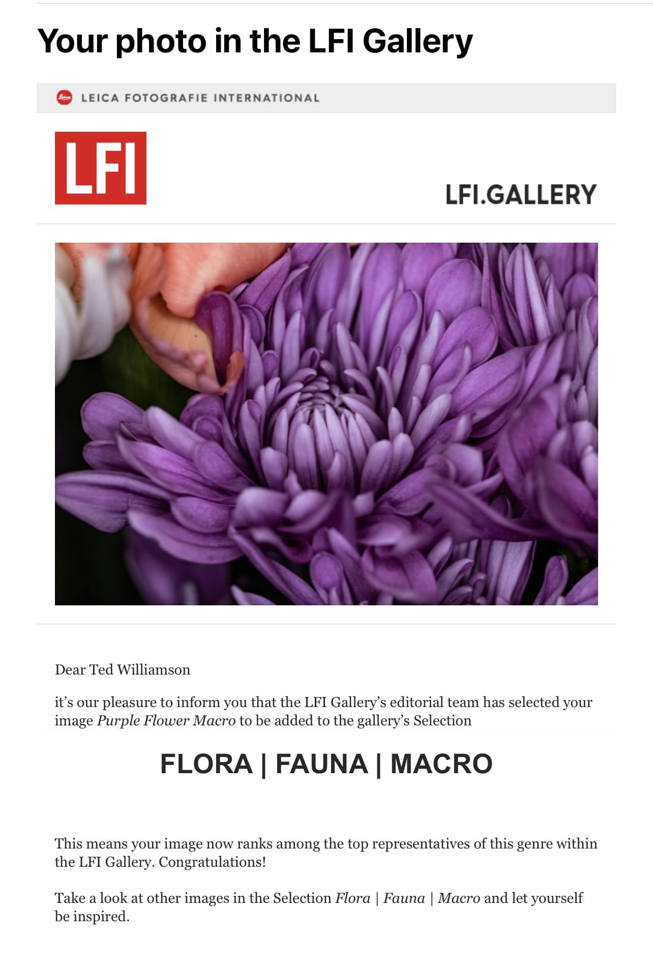 What are the requirements to get a photo selected for the LFI gallery?