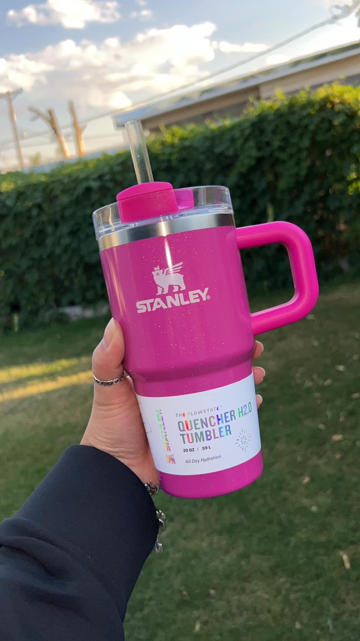 Stanley tumbler arrival and first impression