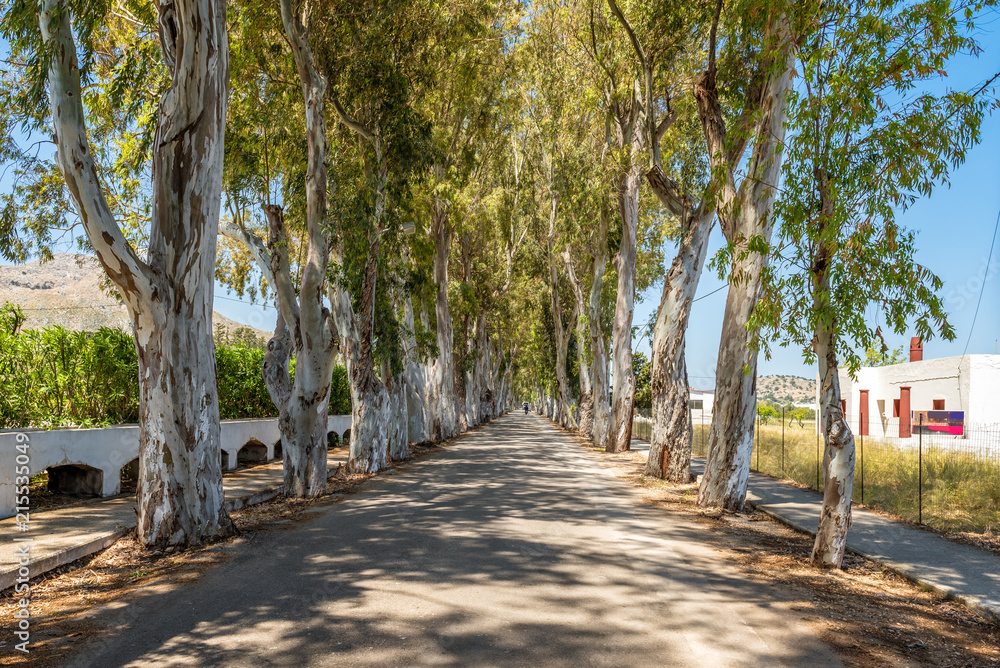 KOLYMBIA-RHODES-GR | Hi everyone, I'm currently at the Marathon Hotel ...