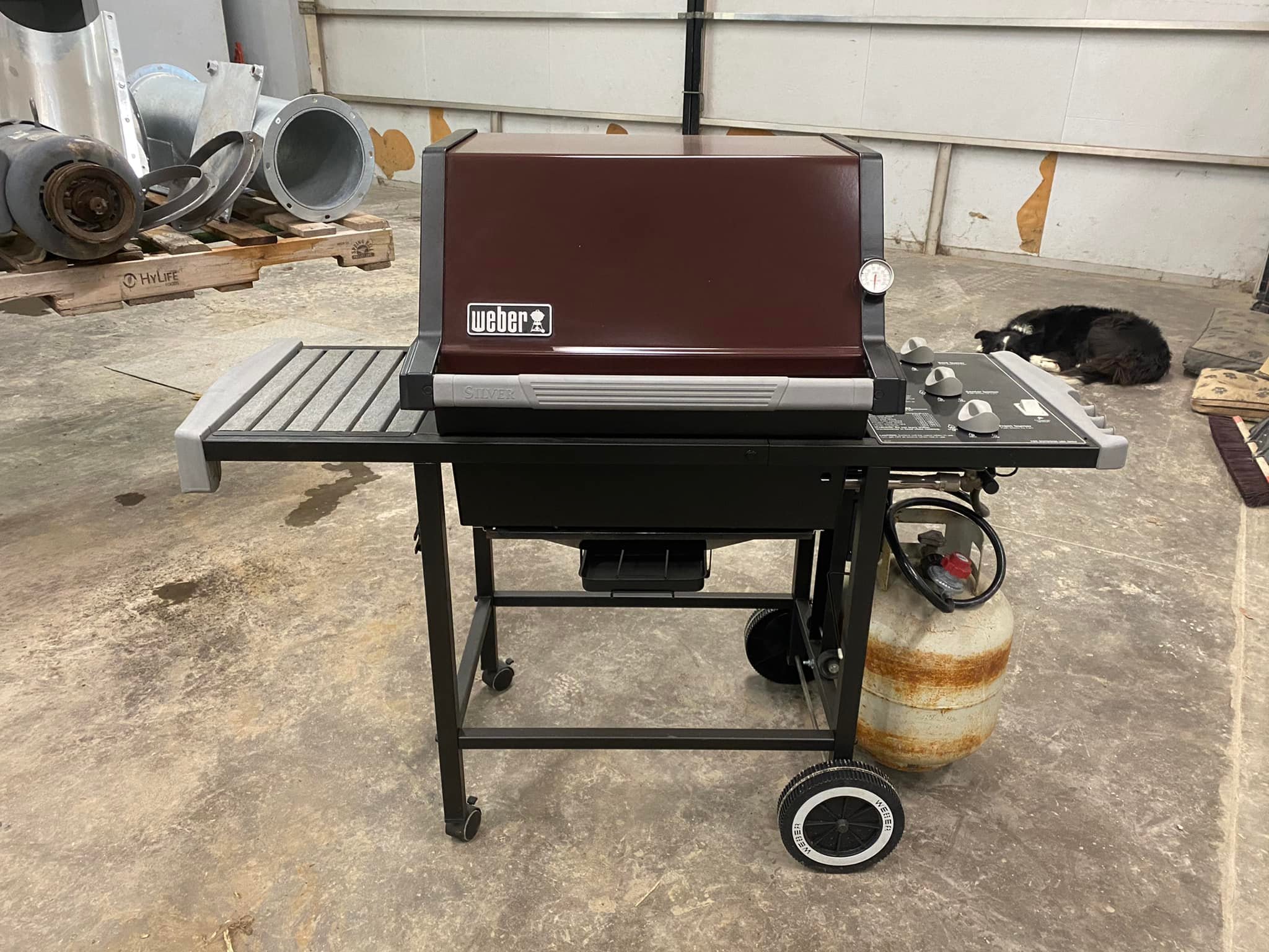 Just finished restoring my 1990s (?) grill