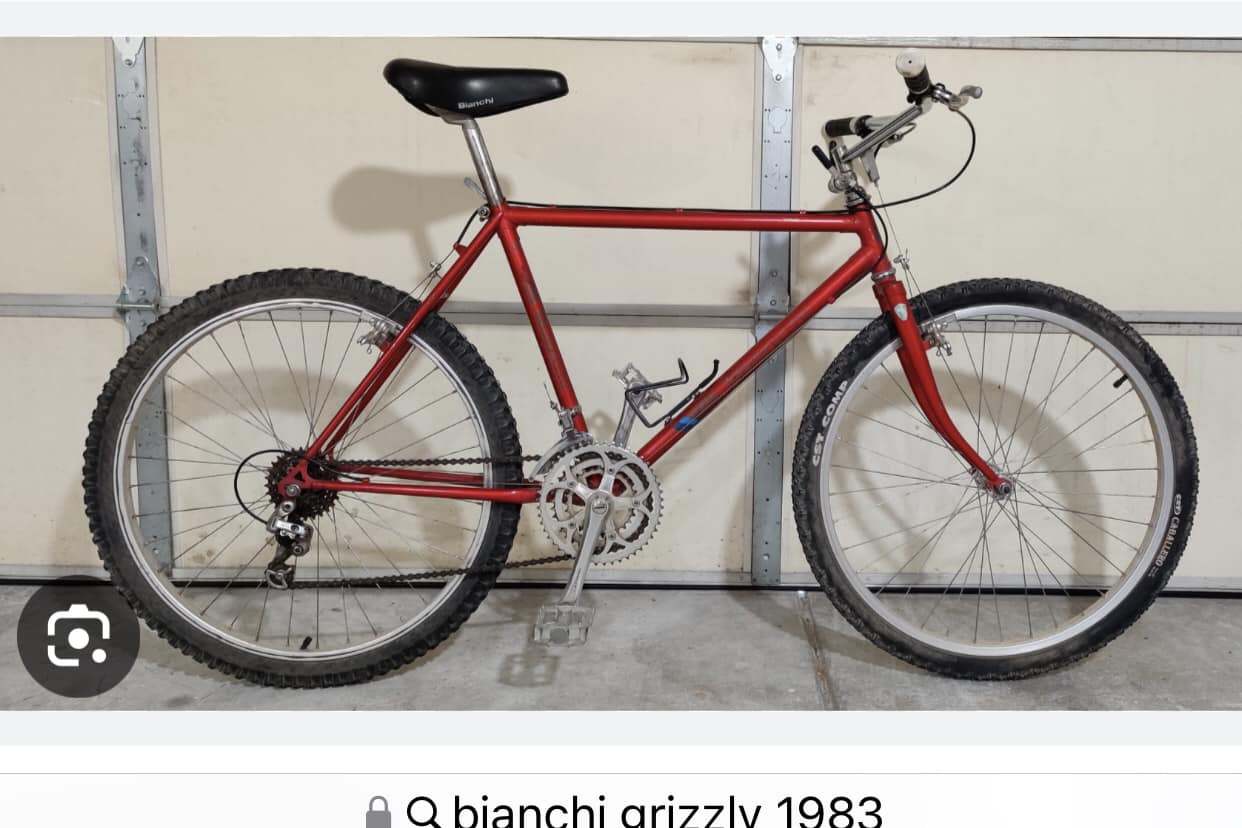 1983 bianchi road bike Strada LX, 61cm Vintage Bike, White 1983 Bianchi Strada Mixte (Step-through