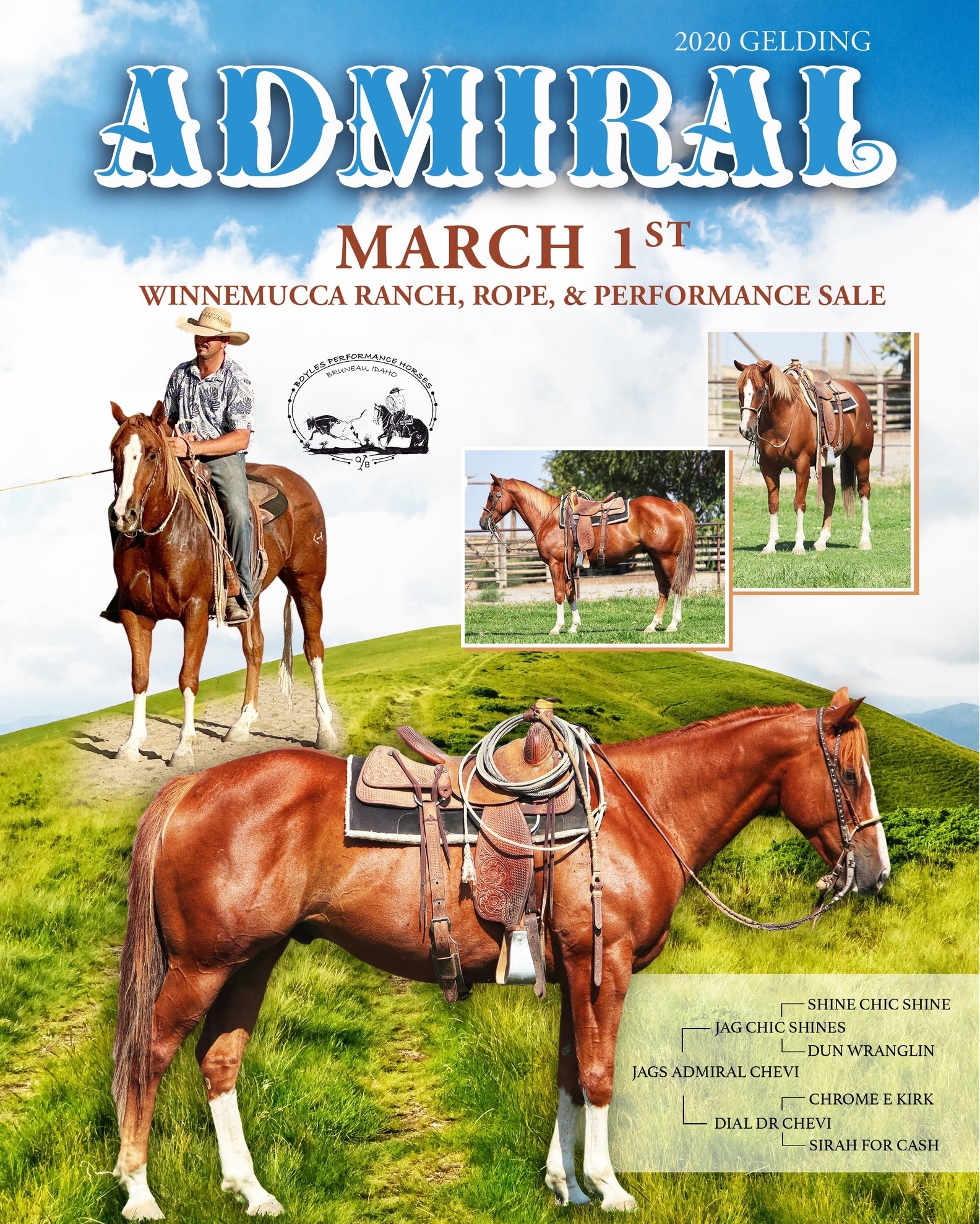 Winnemucca Ranch Hand Rodeo Weekend - Introducing: Jags Admiral Chevi ...
