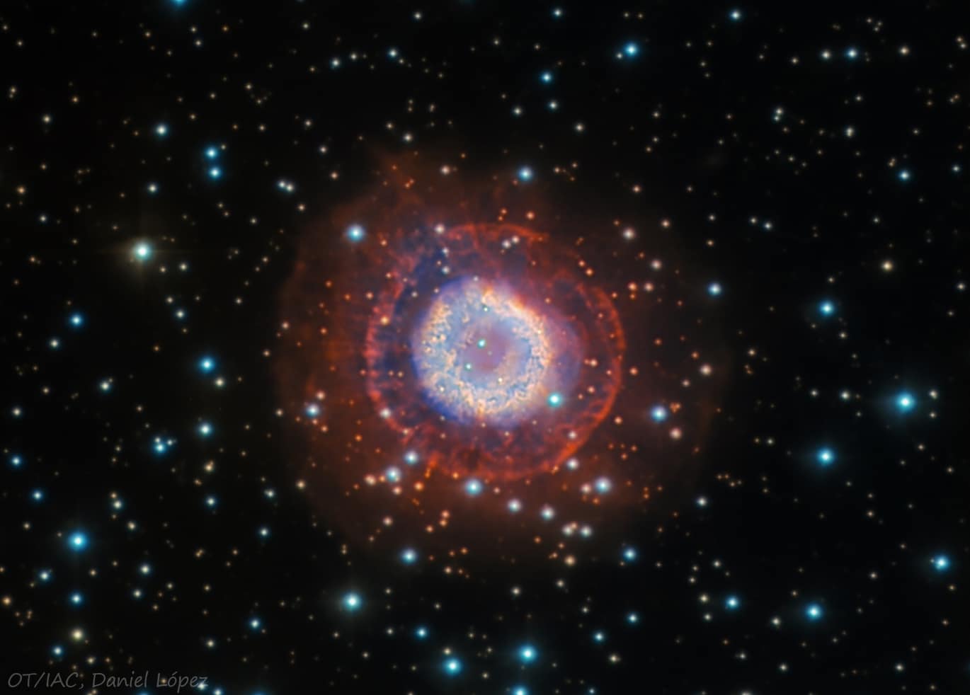 1684 ドイツ ニュルンベルク 1P NGC MS64 1684 ドイツ ニュルンベルク 1P NGC MS64 1684 ドイツ ニュルンベルク