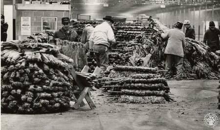 tobacco warehouse for sale Historic District, Danville, VA Homes & Real Estate Tobacco sales at Big Independent