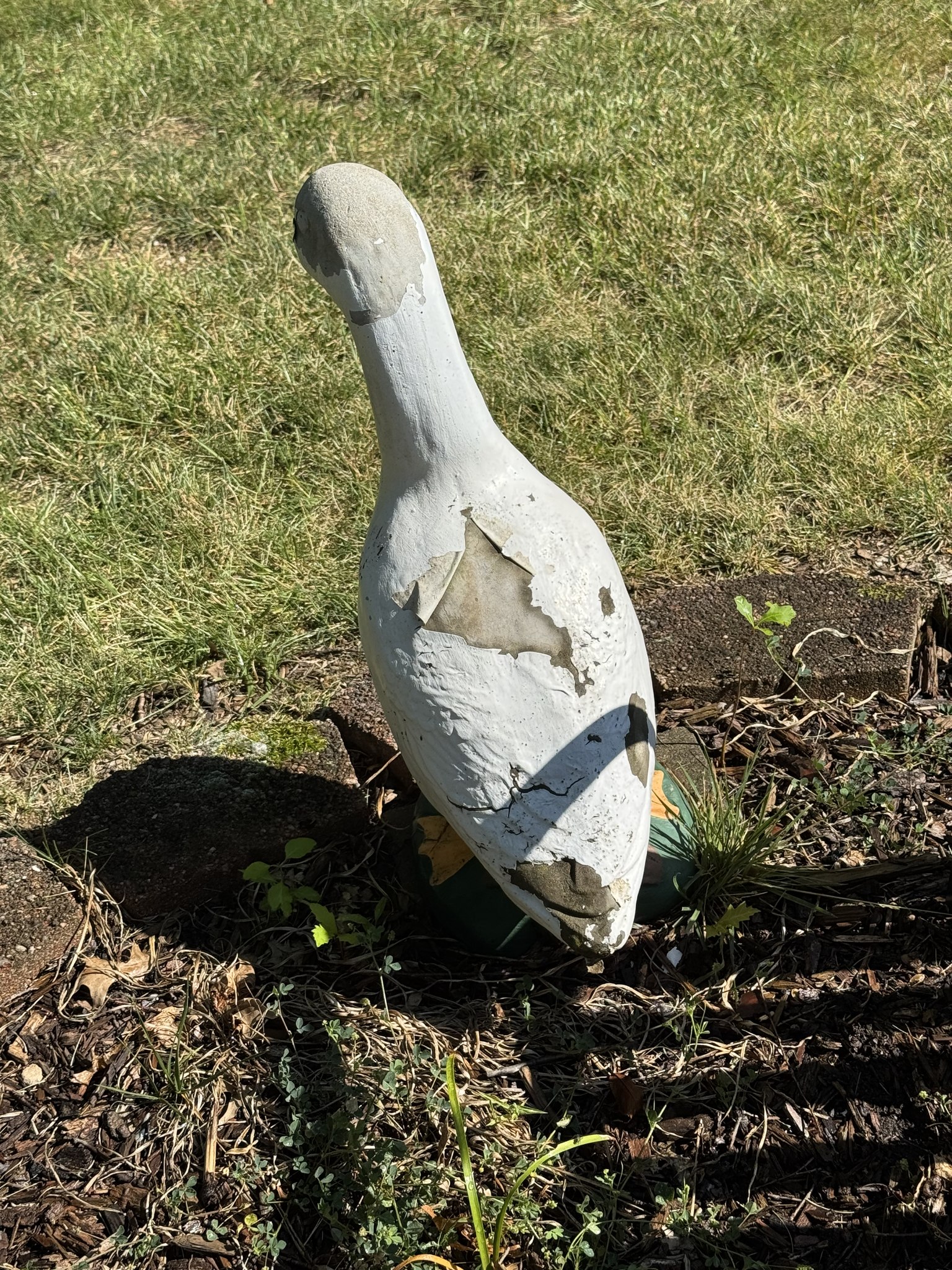 The Porch Goose Club of America | This goose I purchased in 2017 ...