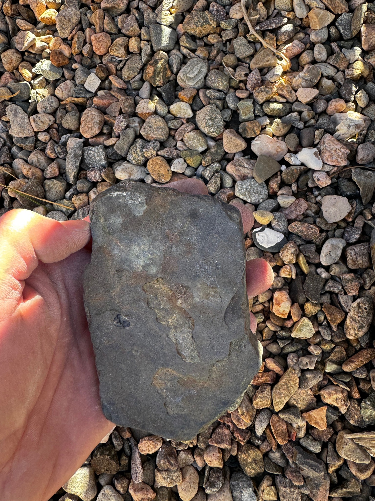 Red stone found in Pilar, NM area