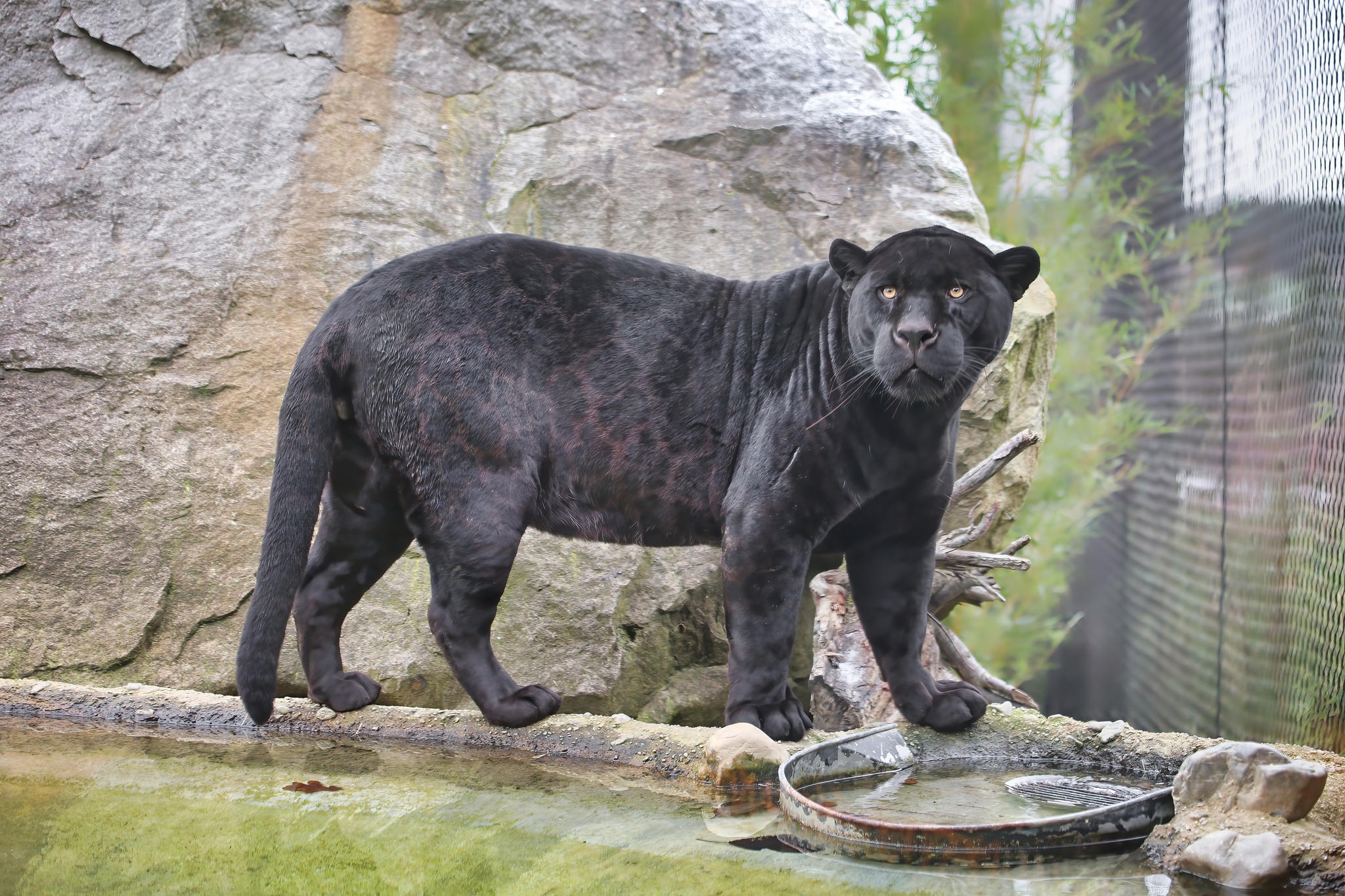 Máme rádi zoo | zoo Zlín Akabo