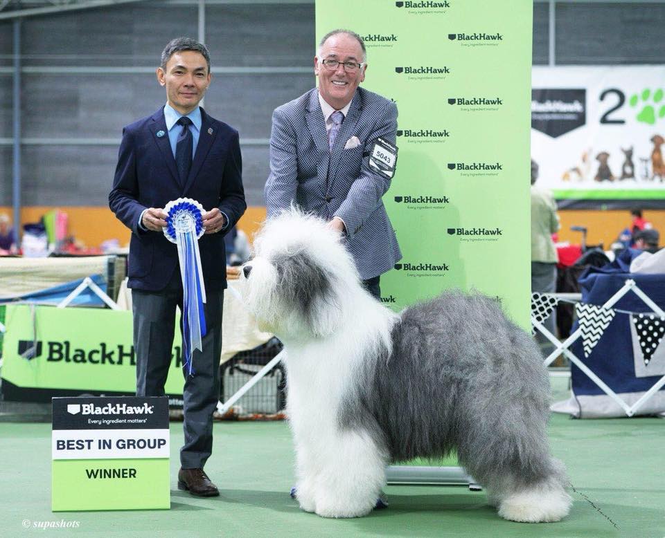 FCI Judge Riady