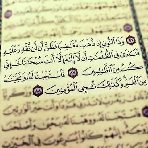 Labeb Ali
