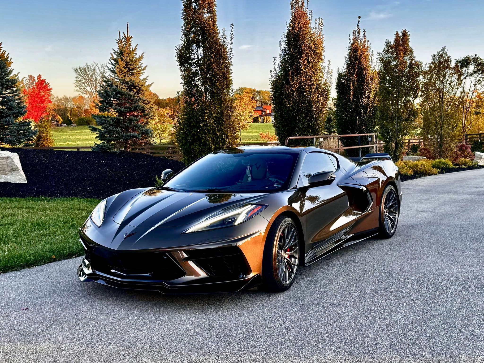 Zeus Bronze C8 featured in Japan's Corvette brochure