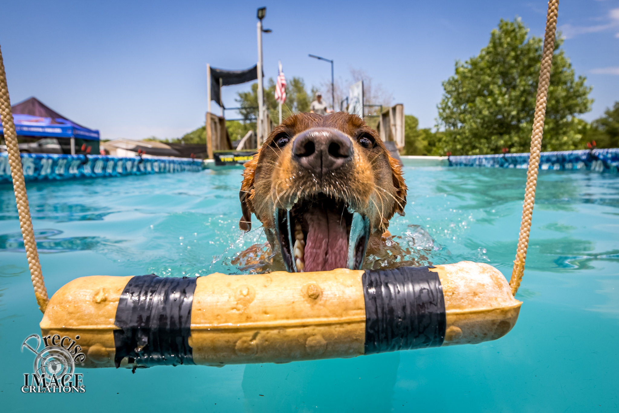 2026 Seacoast Dockdogs Member Group | Facebook