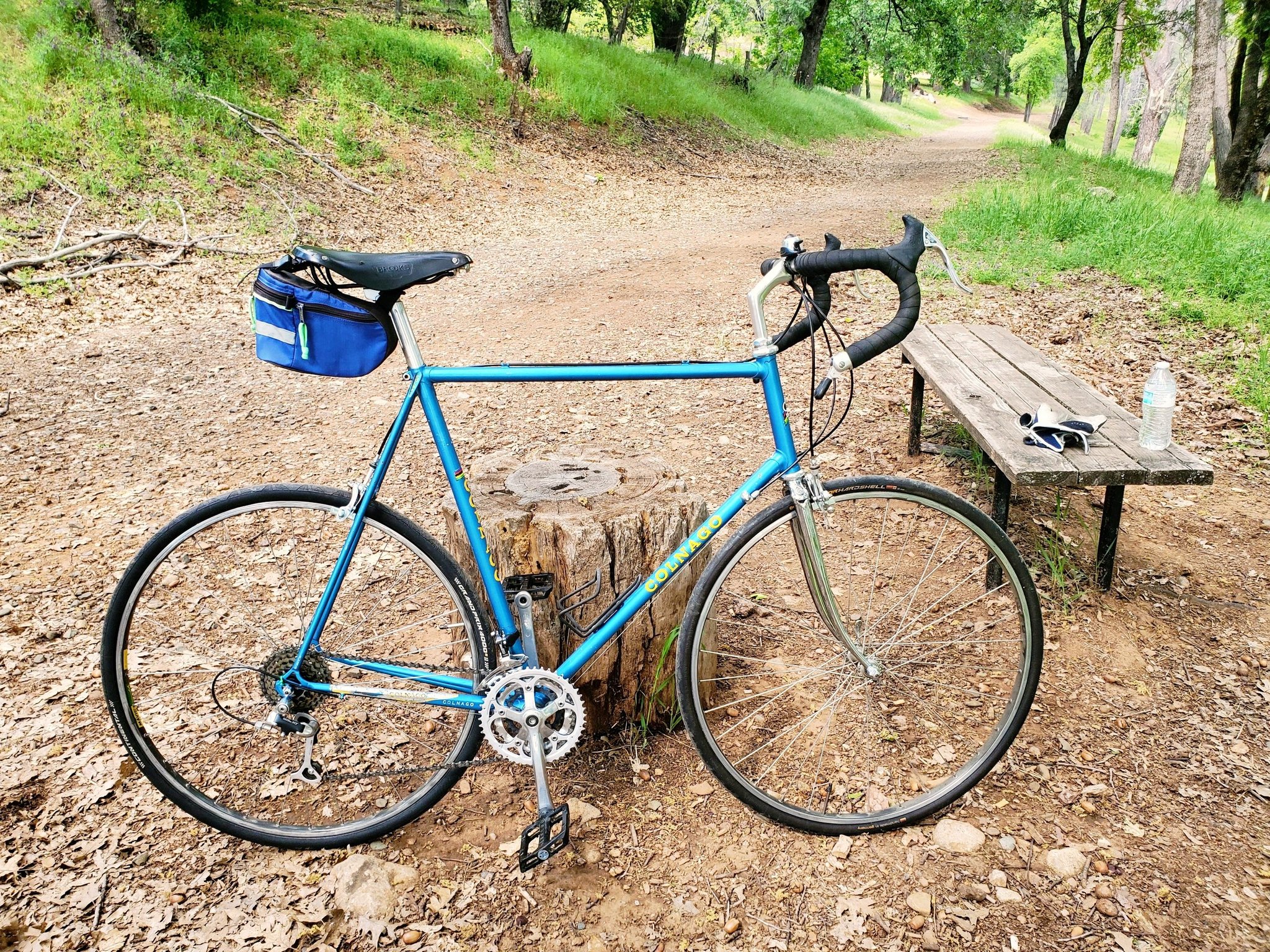 Sharing my 80s Bridgestone Roadman Super Colmo bike