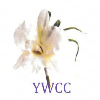 YWCC COGIC